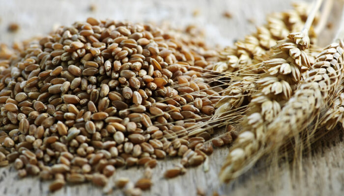 Psoriasis – Symptoms, Food choices, and Remedies